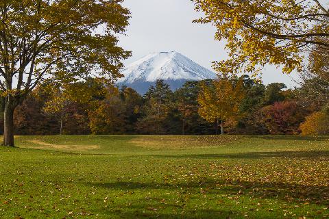 2012/11/12の富士山