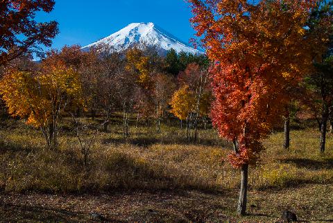 2012/11/15の富士山